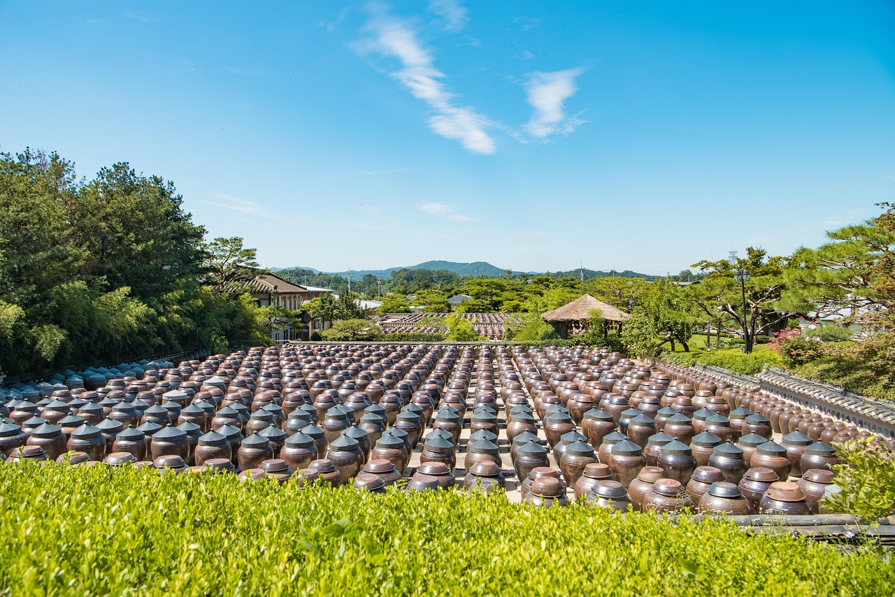 甜瓜嫁接技术革新，最新方法与产业进步探索