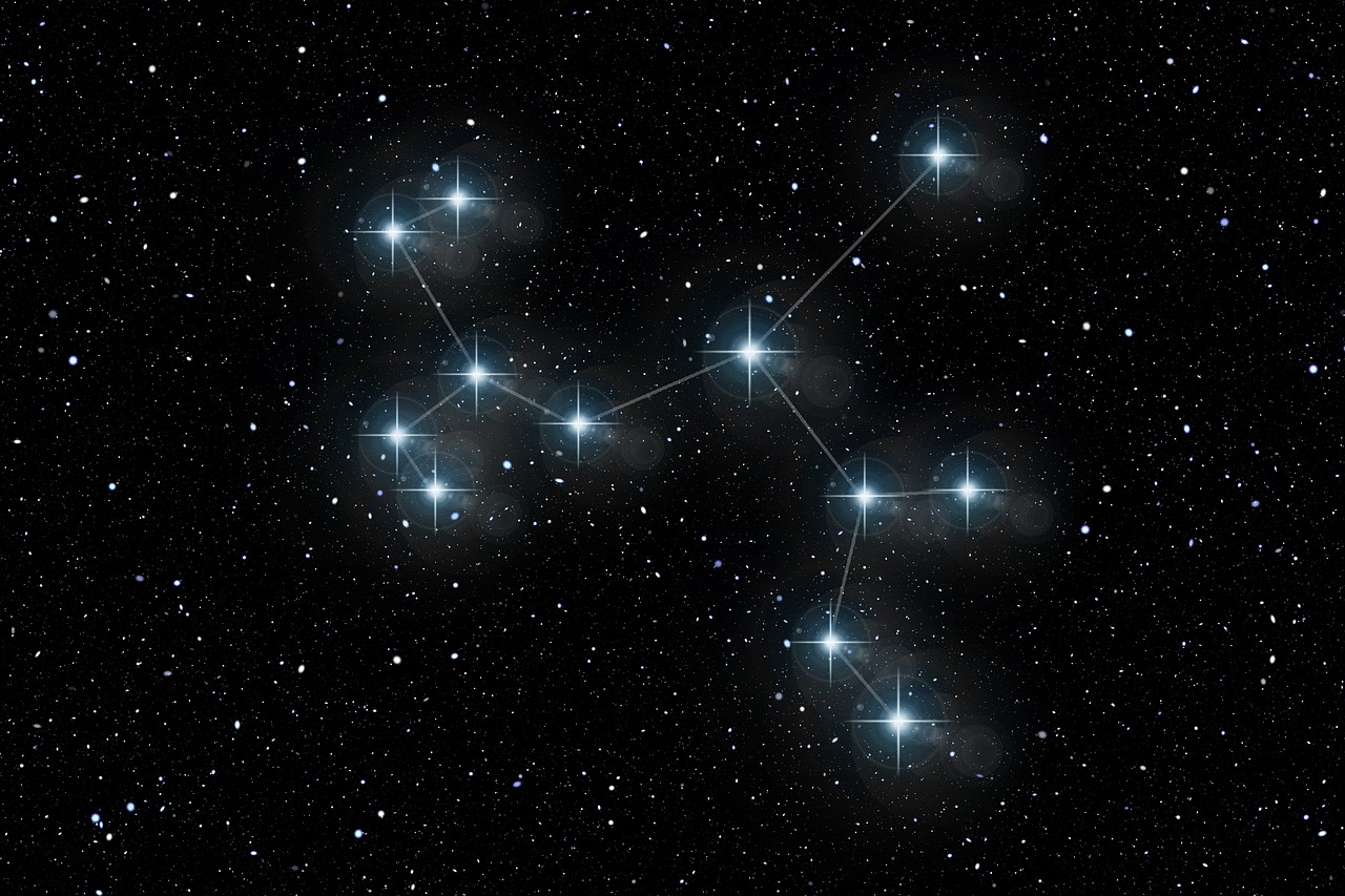 韦姓明星风采闪耀，星光璀璨引领潮流